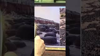 Mudfossil University - Mysterious Balls