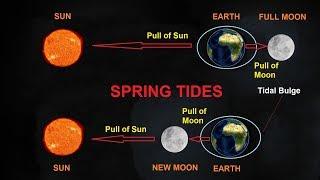 What Causes Tides?