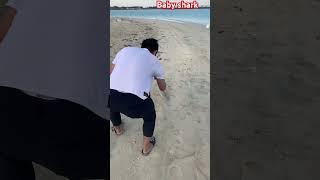 Baby shark catch and release #subscribers #abudhabi @WingManTV20