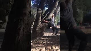 Off Width Invert in Tree Climbing