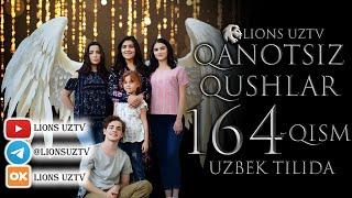 QANOTSIZ QUSHLAR 164 QISM TURK SERIALI UZBEK TILIDA | КАНОТСИЗ КУШЛАР 164 КИСМ УЗБЕК ТИЛИДА