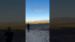 Explore Prehistoric Trackways in Las Cruces, NM with us! 🪨