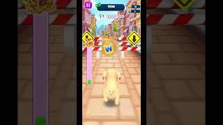 Pet run gameplay - Endless runner #games #mobilegaming #endlessrunner