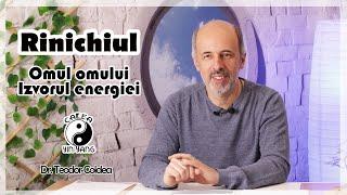 Rinichiul - Dr.Teodor Coldea - Omul omului. Izvorul energiei - Calea Yin Yang