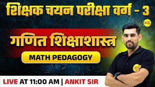 MATH PEDAGOGY, चयन परीक्षा वर्ग - 3 2025, PEDAGOGY VARG-3 2025 BY ANKIT SIR