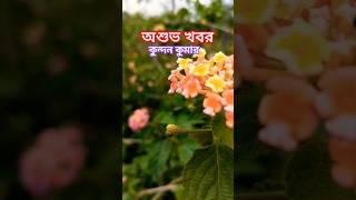 asubh khabar kundan kumar #kundankumar #puruliasong #shorts #sadsong