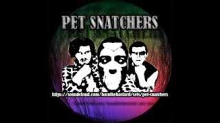 pet snatchers thoughts of a dying artist