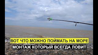 Что ловится в море. Монтаж который ловит ВСЕГДА! На что и чем ловить.