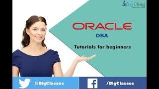 Oracle DBA tutorial introduction - Oracle DBA overview for beginners Bigclasses