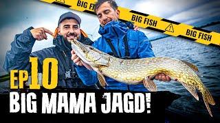 BIG MAMA Jagd 10 - Jubiläums Edition