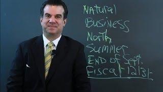 Natural Business vs. Fiscal Year : Business Management