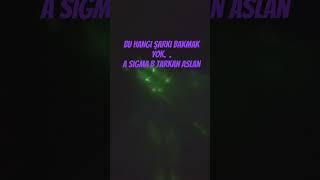 17 мая 2025 г.