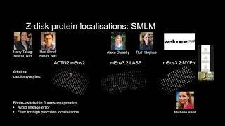 Alistair Curd - 3D supramolecular structure from single-molecule localisation - Imaging ONEWORLD