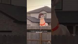 Edgy Memes v89