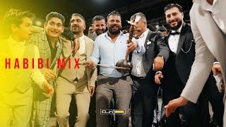 Xemgin Neco | Agir Delilo | Habibi Mix 2025 | Kurdische Hochzeit | #DliarFilmProduction