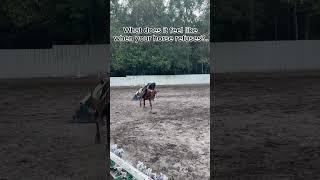 What it feels like when your horse refuses! || I’m always laughing! #horse #horsemanship #equus
