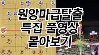 장기 원앙마 공격, 기력이 팍팍 오른다! 급탈출 효과 실화냐? #2