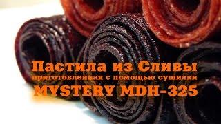 Пастила из сливы приготовленная с помощью сушилки MYSTERY MDH 325