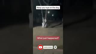 The scariest video  #shorts #scary #tiktok