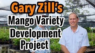 Gary Zill's Mango Variety Development Project