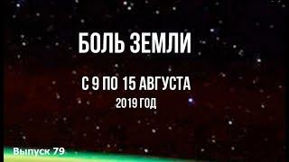 Катаклизмы за неделю с 9 по 15 августа 2019 г