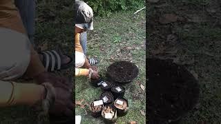 Error Seeds being popped by a traditional grower in eSwatini