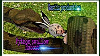 Python swallow Rabbit girl(Blender vore animation)​