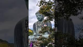 Kamakura, Japan  One Day Trip from Tokyo #shorts #japan #kamakura