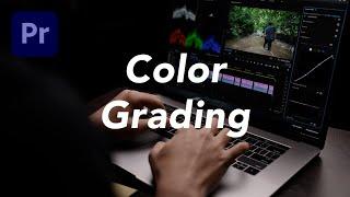 How to COLOR GRADE your videos in Premiere Pro?