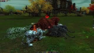 Silkroad Online In 4k - Level 55 - Killing Tiger Girl