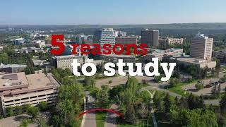 5 Reasons to Choose UCalgary Computer Science!