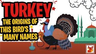 Turkey - The Origins of this Bird's Many Names - in a Nutshell