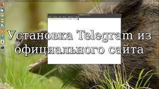 Установка Telegram в Ubuntu 18.04