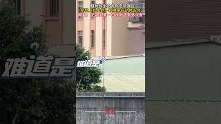 植物的生命力有多頑強 橋壁上長出的一顆樹用行動告訴你 #生命力 #神奇 #萬萬沒想到 #正能量 #植物 #勵志 #life #amazing #plants #shorts