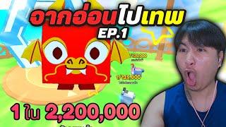 จากอ่อนไปเทพ สายฟรีจบทุกอย่างใน 12ชม. Roblox | PETS GO!