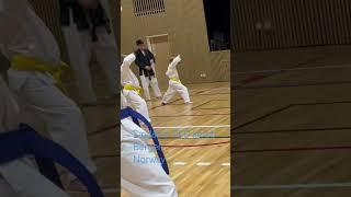 #taekwondo #sædalen #bergen #norway #beginners #treningsglede
