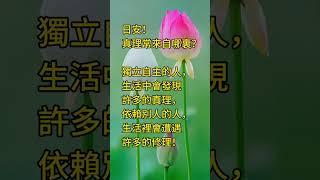 真理常來自哪裏？ 拾穗之悅～2025年2月20日