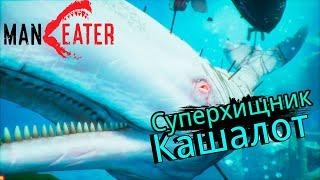 Кашалоты и ФИНАЛЬНЫЙ БОСС - MANEATER