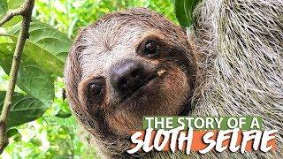 WHERE TO SEE SLOTHS IN LA FORTUNA, COSTA RICA - THE STORY OF A SLOTH SELFIE