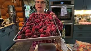 Freeze Drying Mixed Berries from Costco