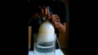Stoner Science