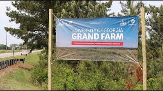 UGA Launches Grand Farm in Perry: The Future of Georgia Agriculture Starts Here