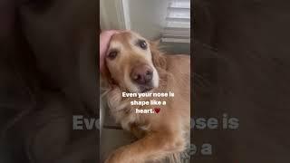 Heart shaped nose