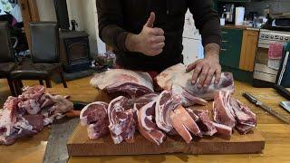MEAT for OUR FAMILY | Ewes on their first Break