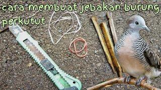 cara membuat jebakan burung perkutut