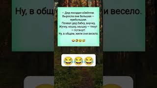 #сказка #рек