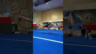 Dmitriy Kuleshov | little gym