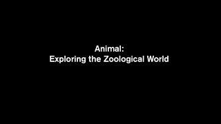 Animal: Exploring the Zoological World