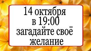 14 октября в 19:00 загадайте своё желание. | Тайна Жрицы |