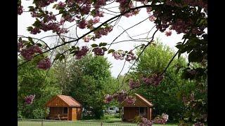 Trekkershutten camping Welgelegen Workum in Friesland nabij IJsselmeer